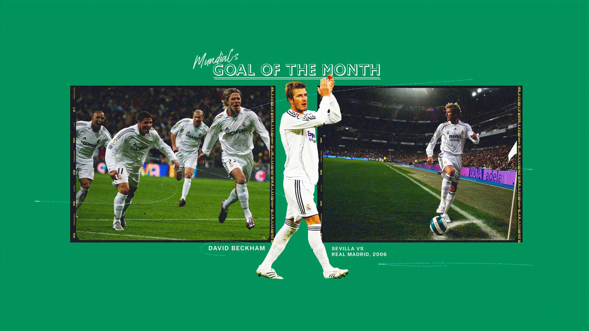 的心理素质 的心理素质